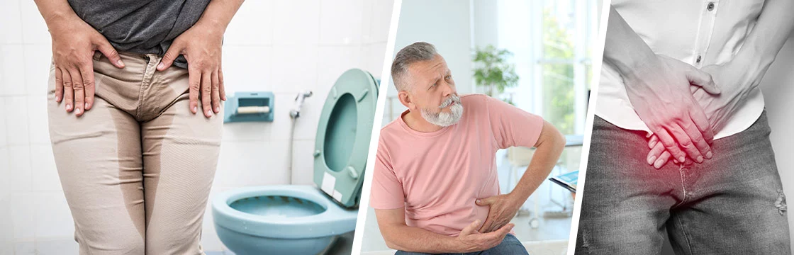 Prostate Problems: Herbal remedies, symptoms, causes, prevention