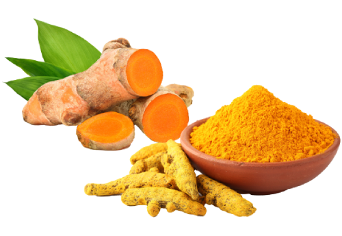 Turmeric Health Benefits: How Curcumins in Turmeric Benefit Your Liver -  The Ginger People US